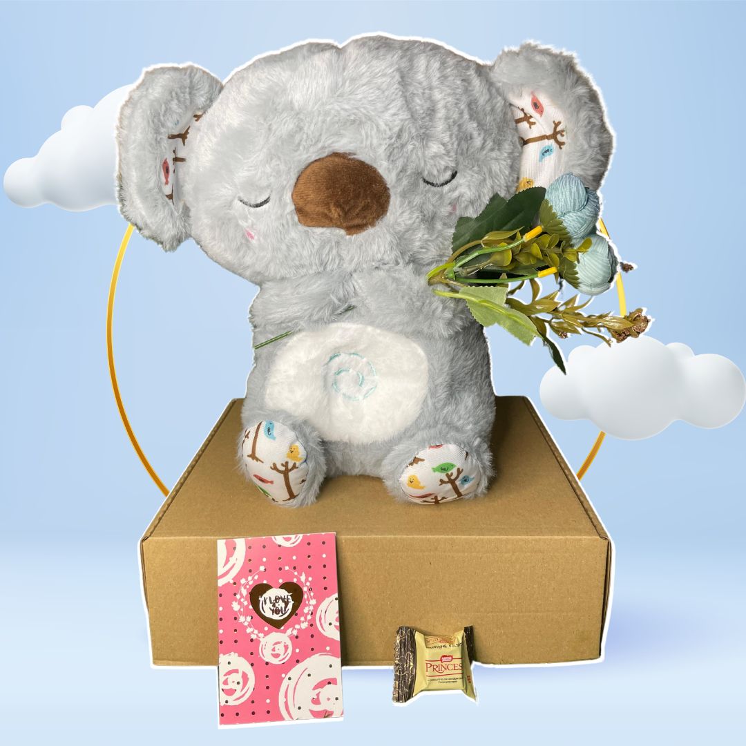 BOX PELUCHE KOALA DORMILON